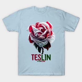 Teslin T-Shirt